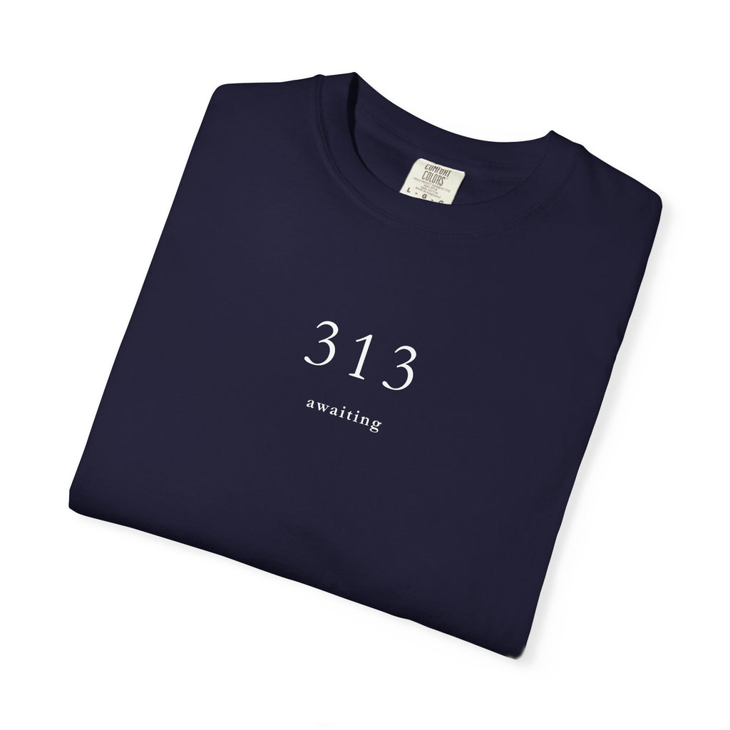 313 Awaiting T shirt