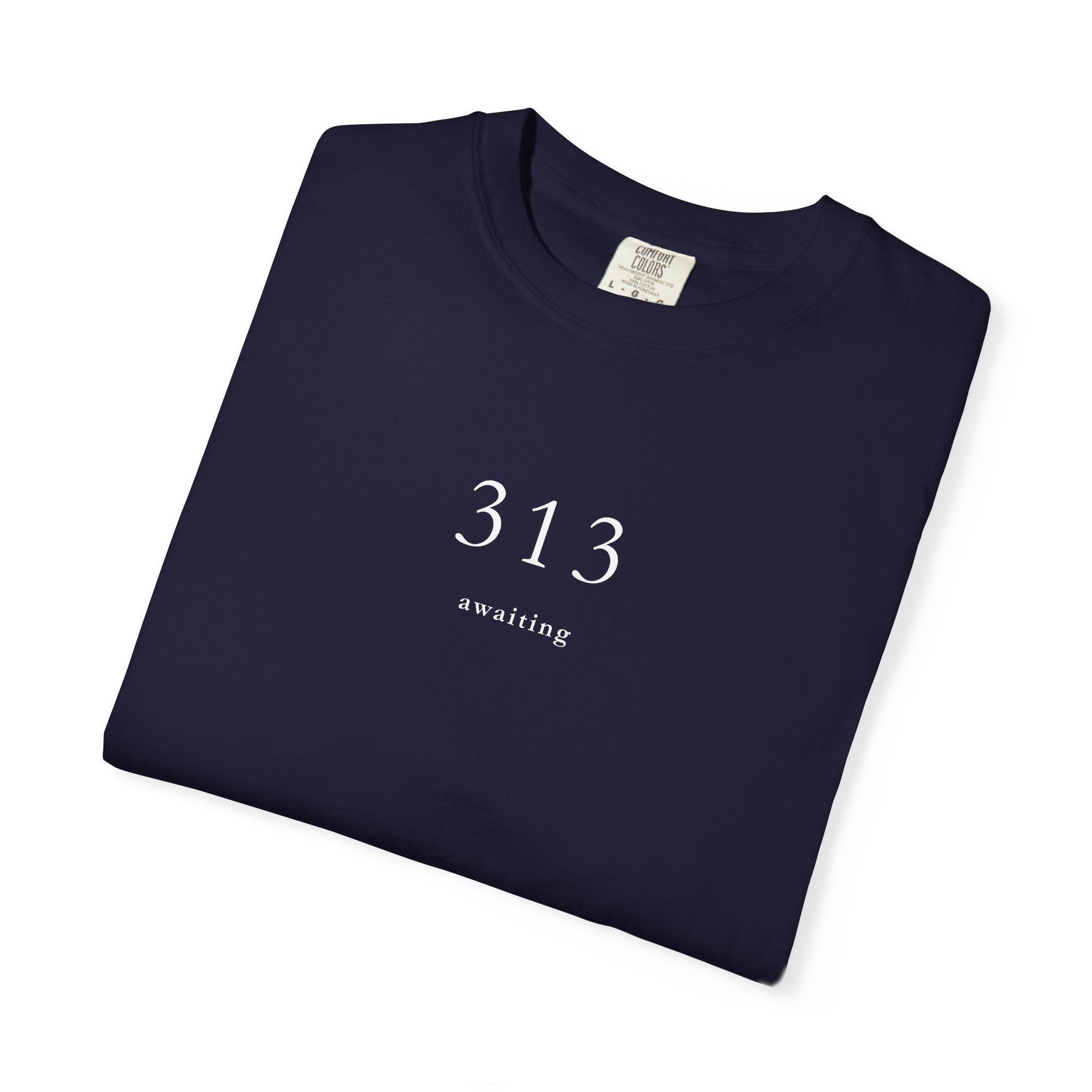 313 Awaiting T shirt