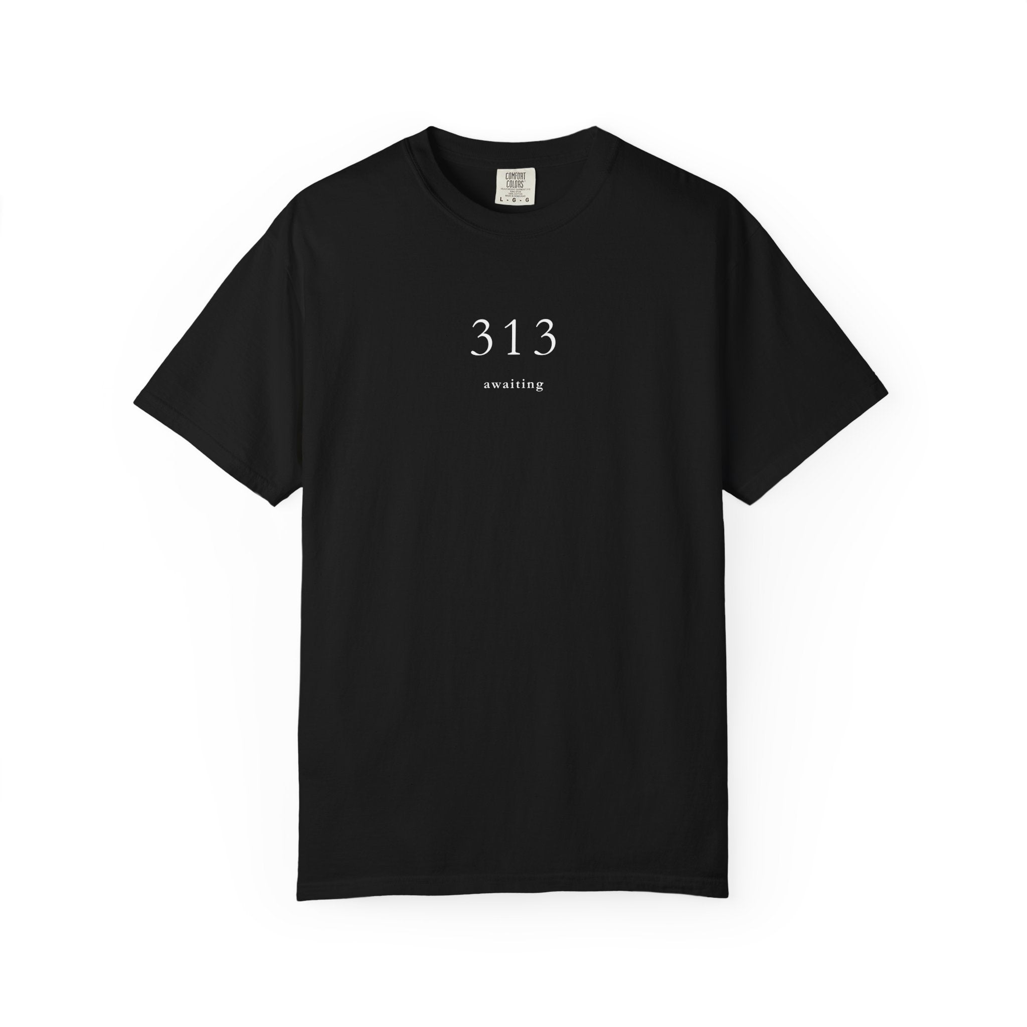 313 Awaiting T shirt