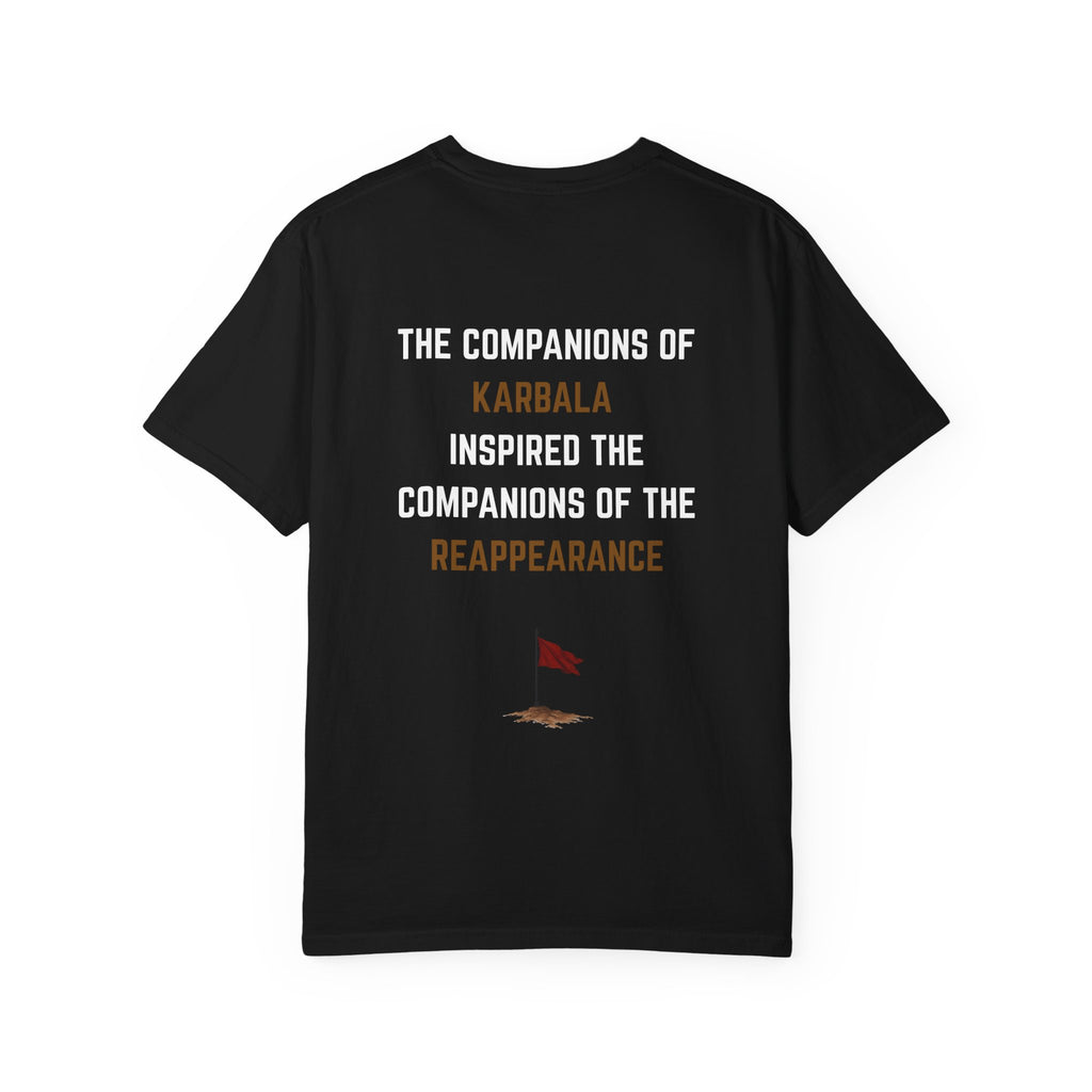 72 --> 313 Karbala & Reappearance Tribute Tee