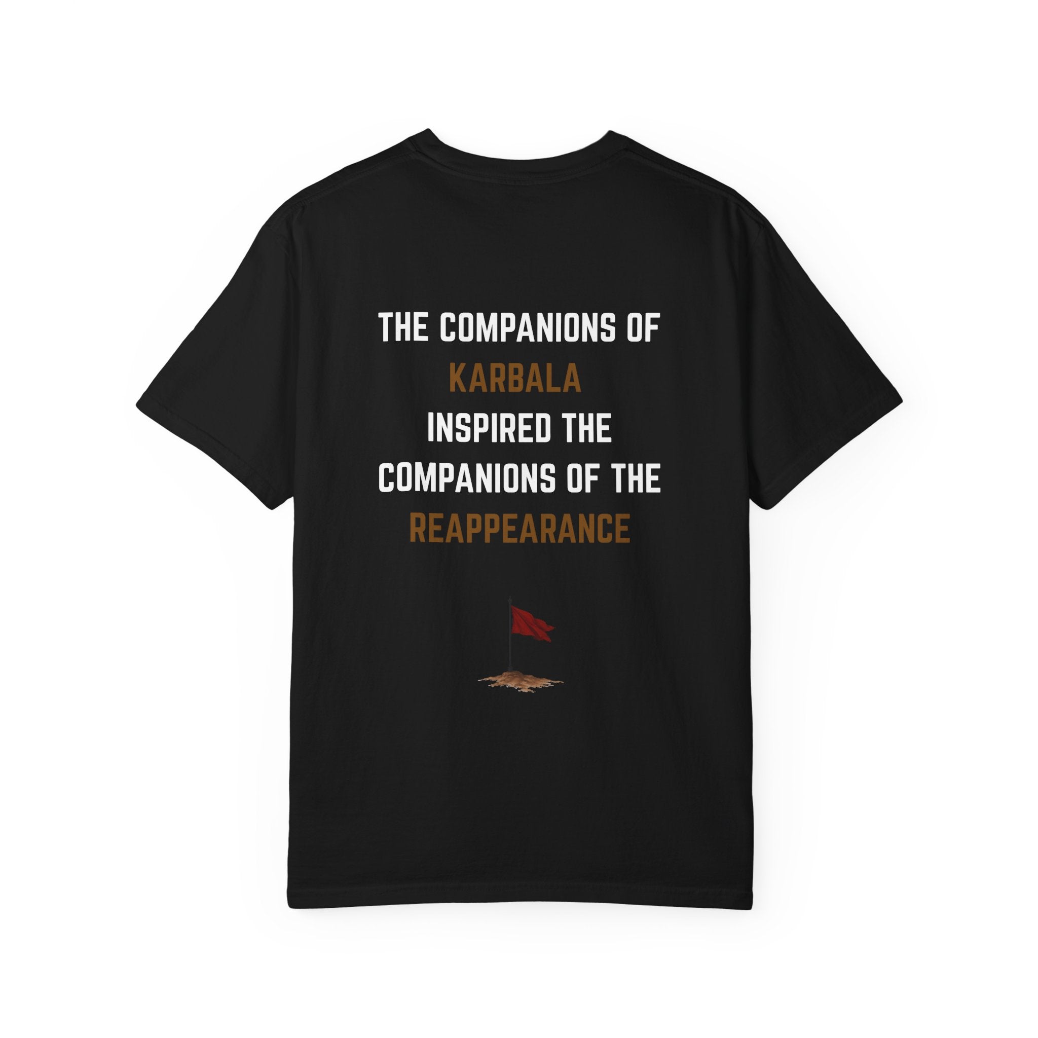72 --> 313 Karbala & Reappearance Tribute Tee
