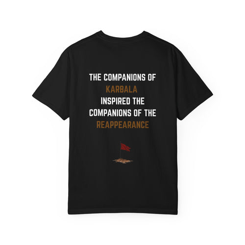 72 --> 313 Karbala & Reappearance Tribute Tee