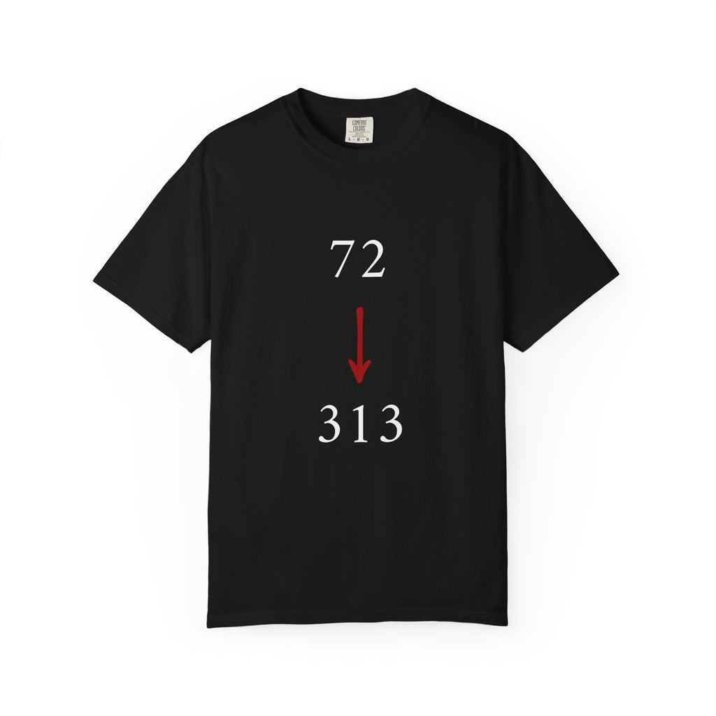 72 --> 313 Karbala & Reappearance Tribute Tee