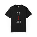 72 --> 313 Karbala & Reappearance Tribute Tee