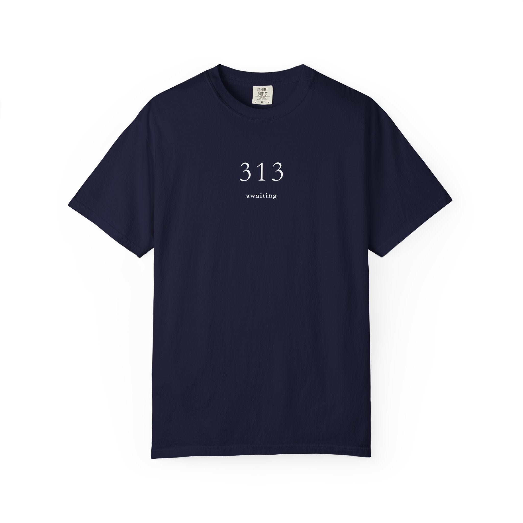 313 Awaiting T shirt