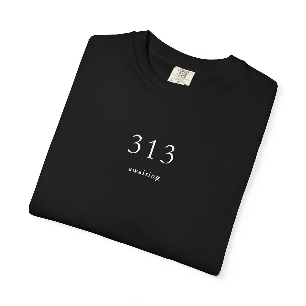 313 Awaiting T shirt