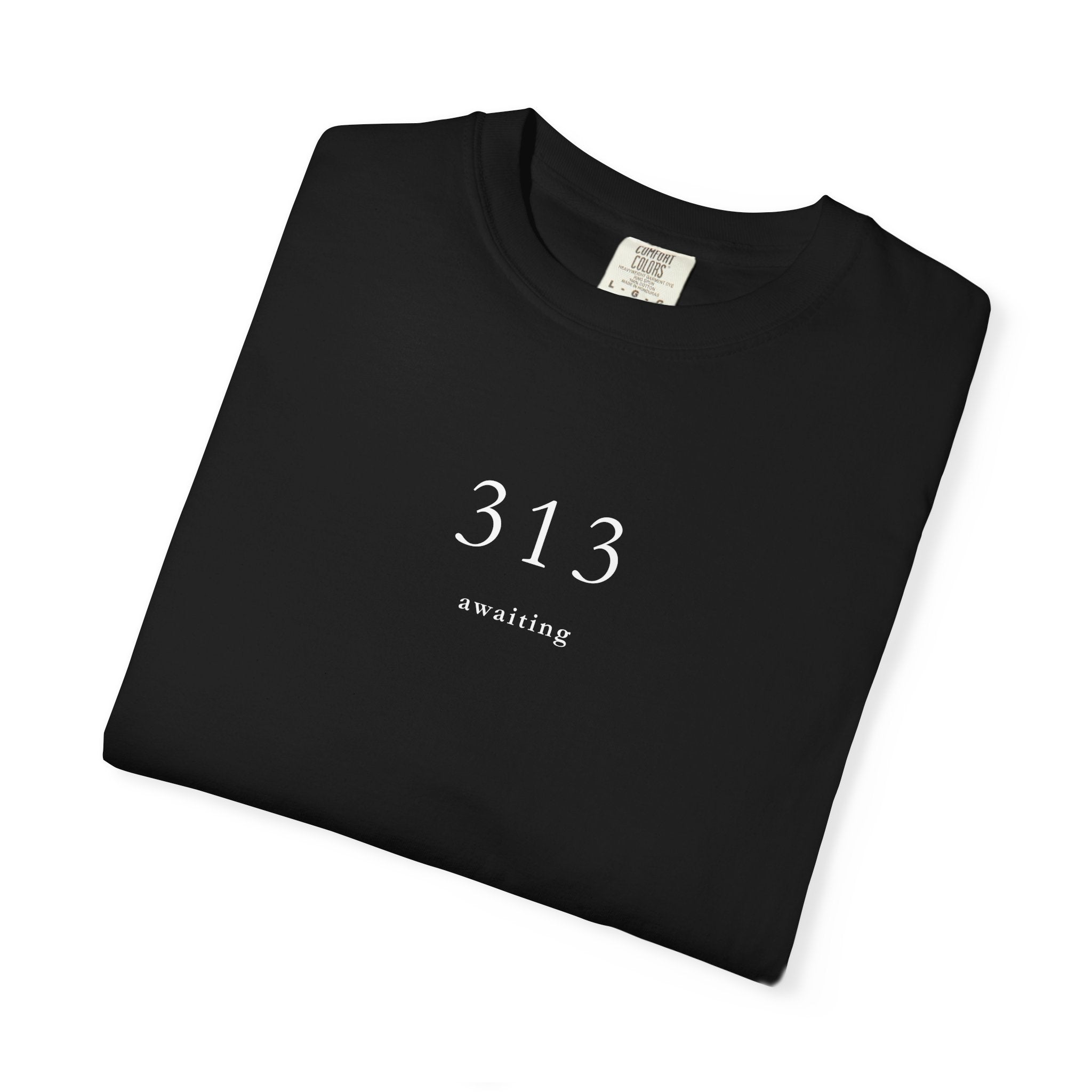 313 Awaiting T shirt